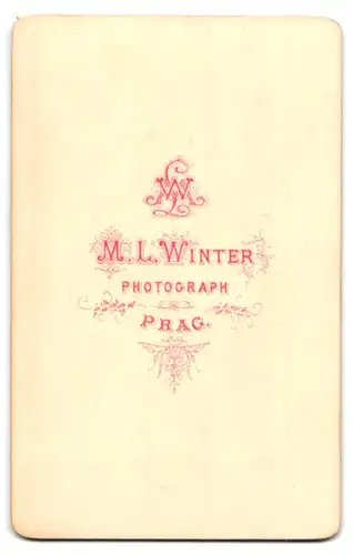 Fotografie M. L. Winter, Prag, Portrait stattlicher junger Mann in Zwicker und Anzug