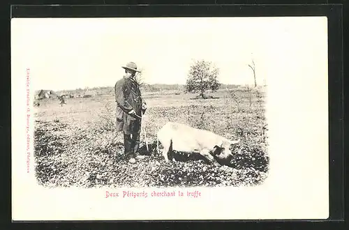 AK Deux Périgords cherchant la truffe, Mann mit Trüffelschwein