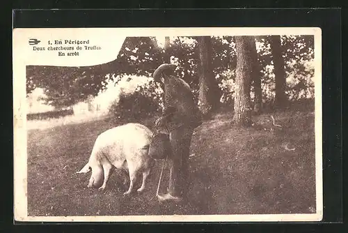 AK En Périgord, Deux chercheurs de truffes, En arrêt