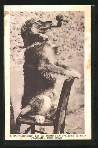 AK Dressierter Hund mit Pfeife, vermenschlichte Tiere