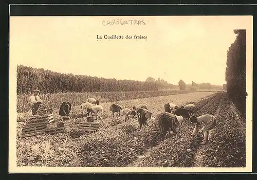 AK Cueilette des fraises, Parfümeur