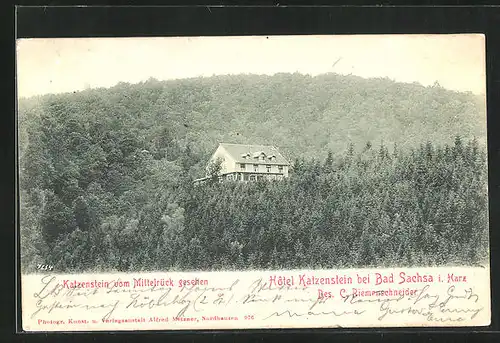 AK Bad Sachsa, Hotel Katzenstein von C. Riemenschneider