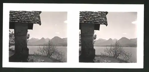 18 Stereo-Fotografien unbekannter Fotograf, Ansicht Salzburg, St Gilgen, Schafberg, Wolfgangsee, Krotensee, Pfingsten 41