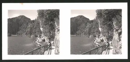 18 Stereo-Fotografien unbekannter Fotograf, Ansicht Salzburg, St Gilgen, Schafberg, Wolfgangsee, Krotensee, Pfingsten 41