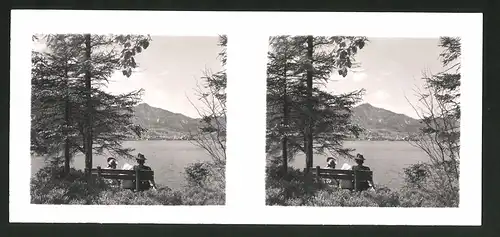 18 Stereo-Fotografien unbekannter Fotograf, Ansicht Salzburg, St Gilgen, Schafberg, Wolfgangsee, Krotensee, Pfingsten 41