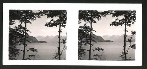 18 Stereo-Fotografien unbekannter Fotograf, Ansicht Salzburg, St Gilgen, Schafberg, Wolfgangsee, Krotensee, Pfingsten 41