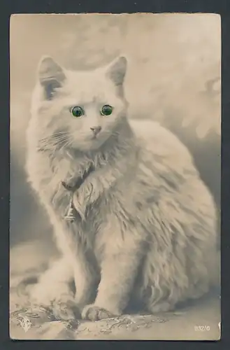 Glasaugen-AK Weisse Katze mit Glocke und grünen Augen