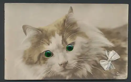 Glasaugen-AK Katze mit grauer Schleife