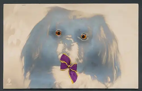 Glasaugen-AK Hund mit lila Schleife vor dem Mund