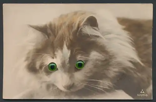 Glasaugen-AK Katze mit grünen Augen beim liegen