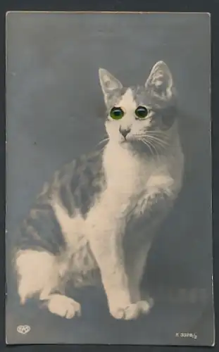 Glasaugen-AK Katze mit grünen Augen schaut verwundert