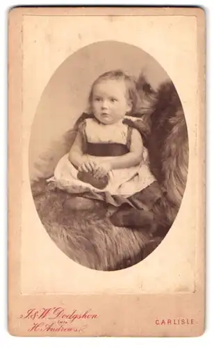 Fotografie J. & W. Dodgshon, Carlisle, Lowther Street, Portrait niedliches Kleinkind im hübschen Kleid auf Fell sitzend