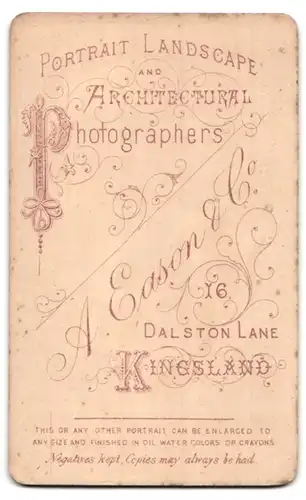 Fotografie A. Eason & Co., Kingsland, 16, Dalston Lane, Portrait bürgerliche Dame in zeitgenössischer Kleidung