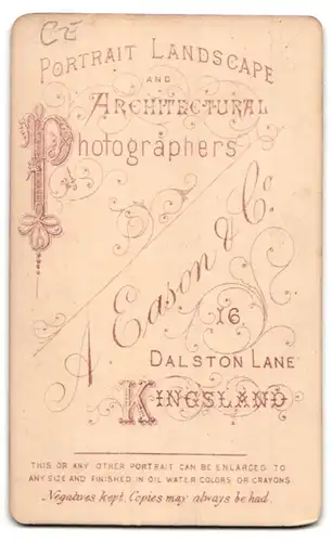 Fotografie A. Eason & Co., Kingsland, 16, Dalston Lane, Portrait junge Dame im hübschen Kleid