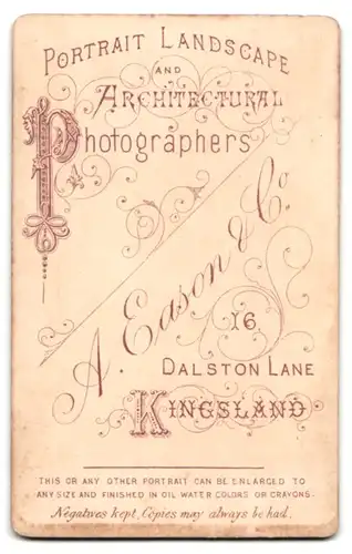 Fotografie A. Eason & Co., Kingsland, 16, Dalston Lane, Portrait bürgerliche Dame mit Buch auf Fell sitzend