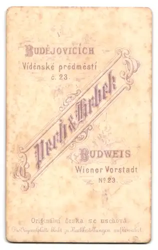 Fotografie Pech & Hrbek, Budweis, Wiener Vorstadt Nr. 23, Mann mit ungepflegtem Bart