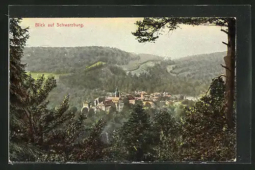 AK Schwarzburg, Blick auf Schloss Schwarzburg und Teile der Stadt