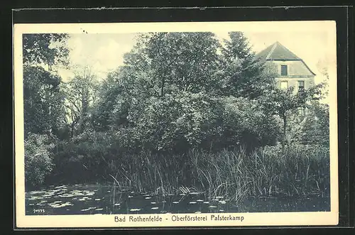 AK Bad Rothenfelde, Oberförsterei Palsterkamp