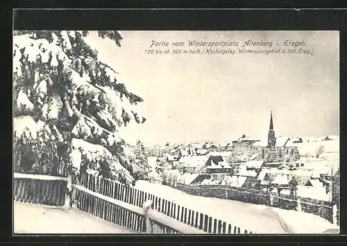 AK Altenberg / Erzgeb., Partie vom Wintersportplatz