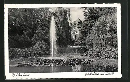 AK Bad Oeynhausen, Goldfischteich und Lesehalle