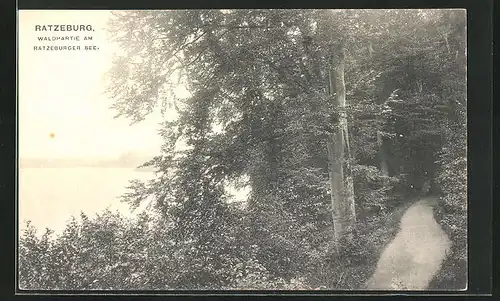 AK Ratzeburg, Waldpartie am Ratzeburger See