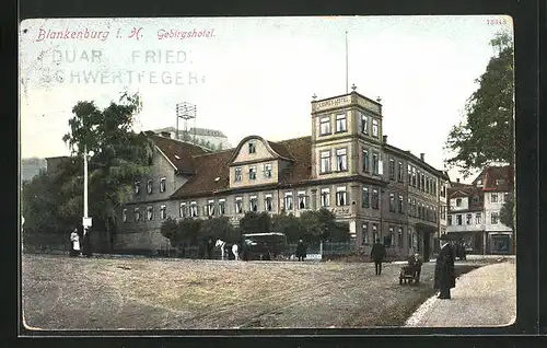 AK Blankenburg i. H., Strasse am Gebirgshotel