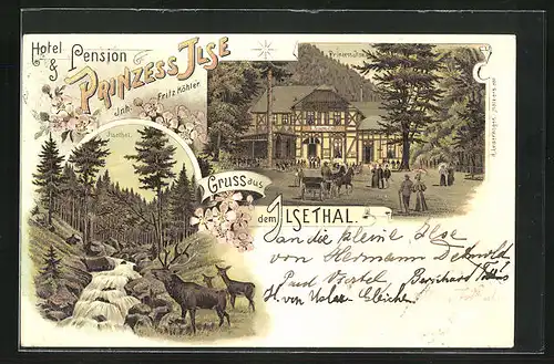 Lithographie Ilsenburg, Hotel Prinzess Ilse von Fritz Köhler