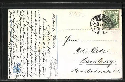 AK Walsrode / Lüneburger Heide, Erholungsheim, Verein für Handlungs-Commis von 1858