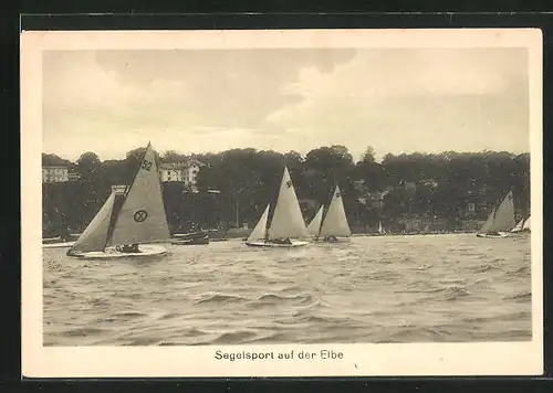 AK Segelsport auf der Elbe