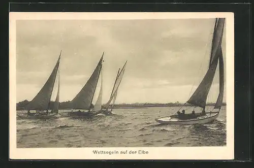 AK Wettsegeln auf der Elbe, Segelsport