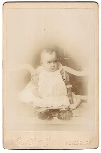 Fotografie Ball & Co., Peterboro, Portrait niedliches Kleinkind im hübschen Kleid auf Bank sitzend