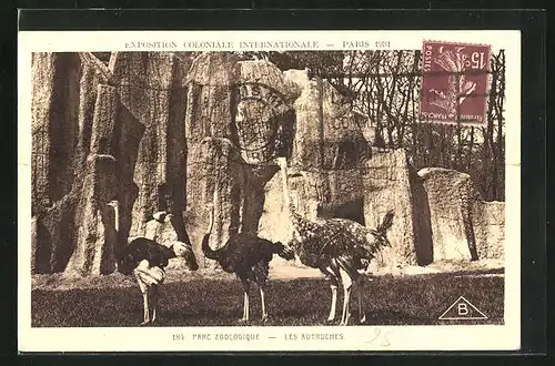 AK Paris, Exposition Coloniale Internationale 1931, Parc Zoologique, Les Autruches, Straussenvögel