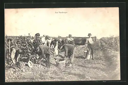 AK Les Vendanges, Männer bei der Weinlese