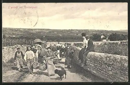 AK L`arrivée des Vendangeurs, Wein