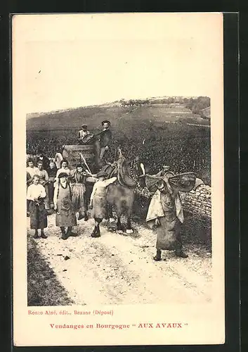 AK Vendanges en Bourgogne Aux Avaux