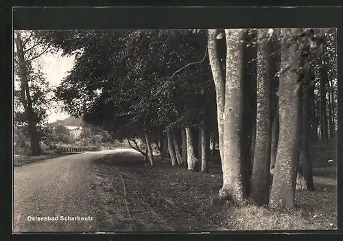 AK Scharbeutz, Landstrasse zum Ort