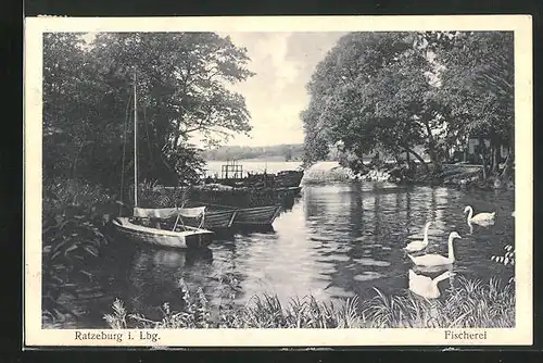 AK Ratzeburg i. Lbg., kleine Bucht mit Booten und Schwänen