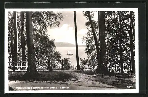 AK Timmendorfer Strand, Seeblick durch den Wald hindurch