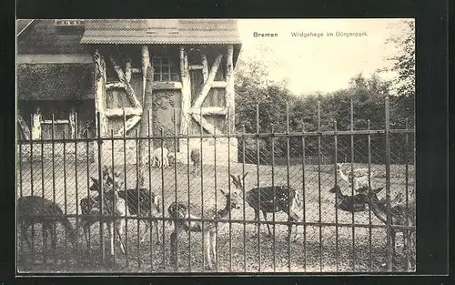 AK Bremen, Wildgehege im Bürgerpark