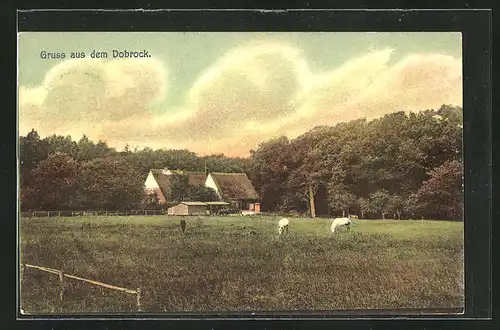 AK Dobrock, Blick über Pferdeweide zu einem Gehöfft