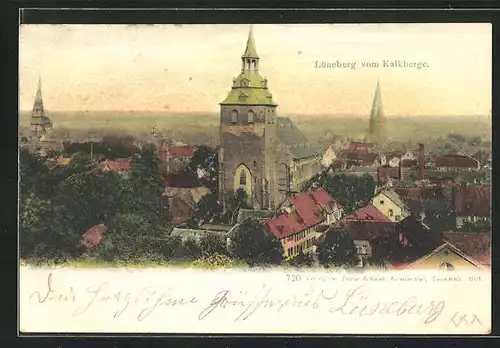 AK Lüneburg, Aussicht vom Kalkberge auf St. Michaeliskirche