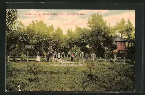 AK Mittelbach, Eckert`s Gasthaus, Partie an der Obstplantage mit Springbrunnen