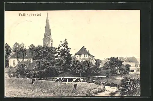 AK Fallingbostel, Ortspartie mit Kirche und Kühen