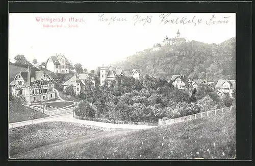 AK Wernigerode / Harz, Bollhasenthal u. Schloss