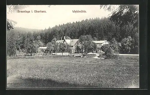 AK Braunlage i. Harz, Felder am Hotel Waldmühle