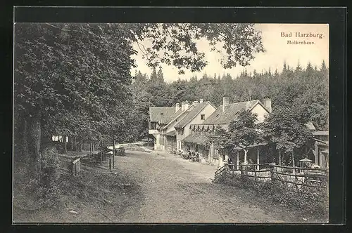 AK Bad Harzburg, Gasthaus Molkenhaus