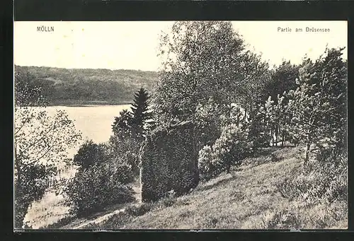 AK Mölln i. L., Partie am Drüsensee