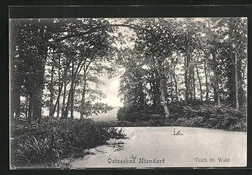 AK Niendorf / Ostsee, Teich im Wald