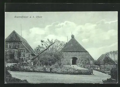 AK Niendorf / Ostsee, Bauernhäuser