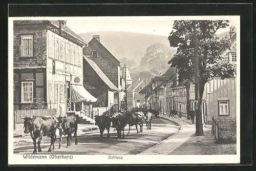 AK Wildemann /Harz, Viehtrieb durch den Bohlweg
